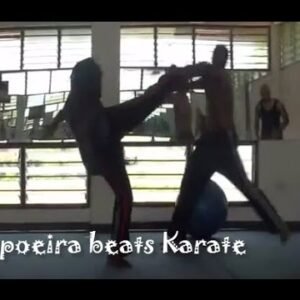 Abibifahodie Asako Capoeira [30-Part Complete Set of Videos]