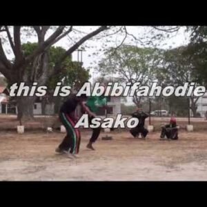 Part 16: CAPOEIRA Jogo Duro! Afrikan Combat Capoeira Fight and Sparring Vines