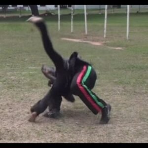 Part 7: [Video] CAPOEIRA FIGHT CLUB! Capoeira Wrestling and Striking