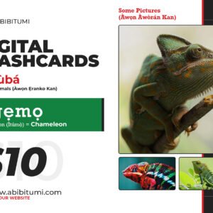 50 Printable Flashcards: Yorùbá Animals and Birds + 4 Bonus Cards!!!