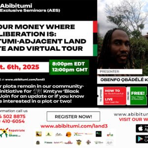 Video Replay: Four Plots Left!!! Put Your Money Where Your Liberation Is: Abibitumi-Adjacent Land Update and Virtual Tour